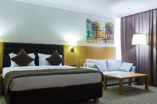 Отель Aidana Plaza Hotel Шымкент Двухместный номер Делюкс с 1 кроватью-5